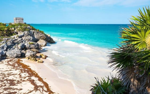 Coba & Tulum with Cenote Swim, lunch and transportation photo 11