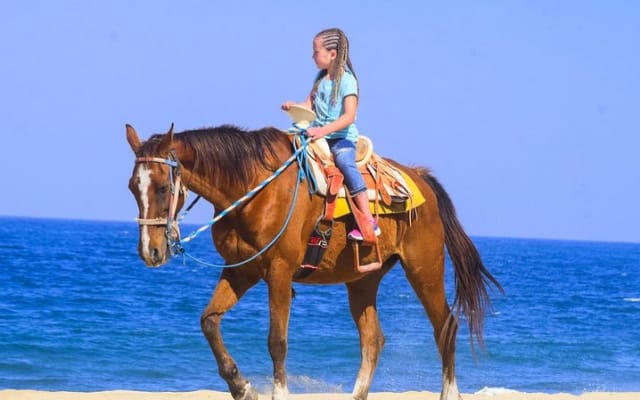 Los Cabos Horseback Riding and ATV Tour photo 2
