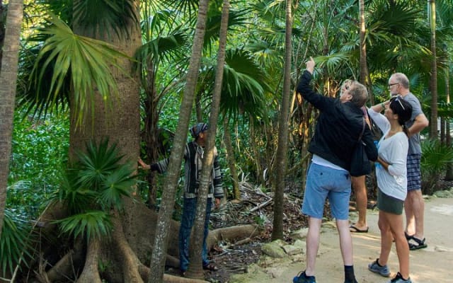 Tulum Bike Tour - Mayan Ruins & Tacos + optional Cenote Swim photo 8