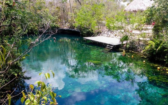 Private transfer for 5 hours (go dinner,cenotes, shopping and more) photo 3