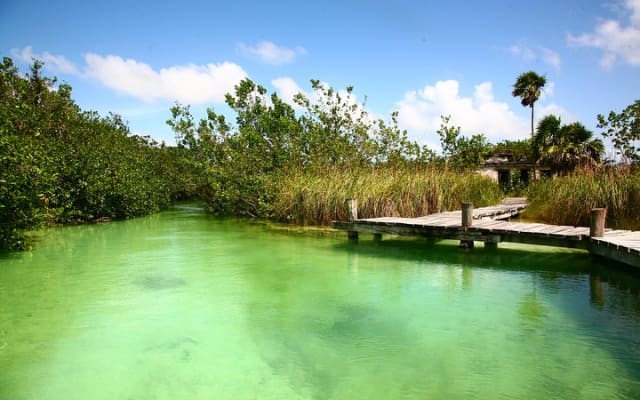 Muyil Archaeological Site & Sian Ka'an Guided Tour from Tulum photo 3