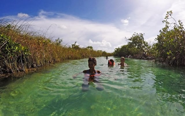 Muyil Archaeological Site & Sian Ka'an Guided Tour from Tulum photo 2