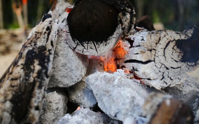 Private or Shared Temazcal Unique Mayan Ritual from Cancun photo 3