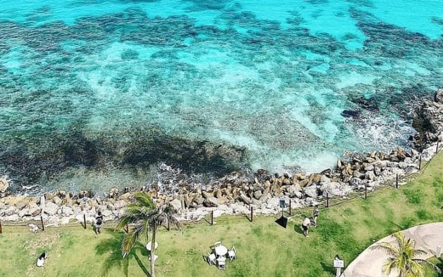 4X1 Magical Tour: Tulum, Coba, Cenote, Playa del Carmen & lunch photo 2