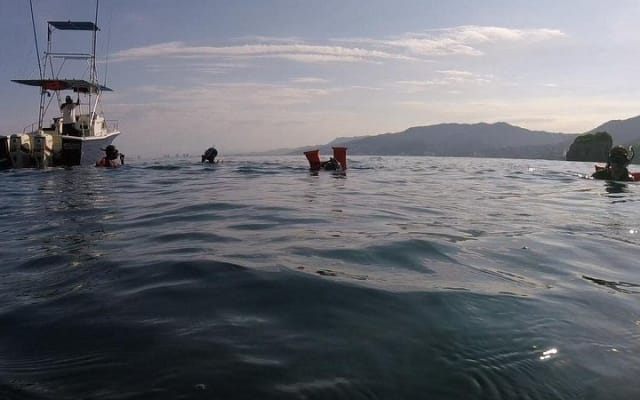 Snorkel privado en Los Arcos photo 3