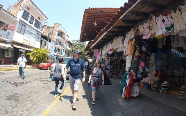 Tour privado educativo y divertido por la ciudad - Puerto Vallarta photo 3