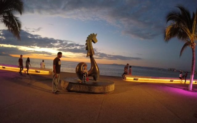 Tour privado educativo y divertido por la ciudad - Puerto Vallarta photo 2