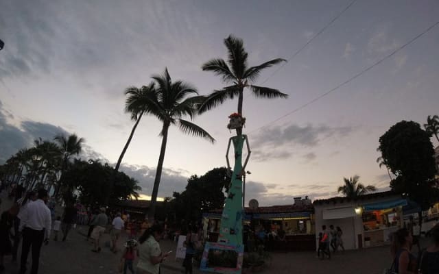 Tour privado educativo y divertido por la ciudad - Puerto Vallarta photo 4