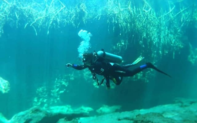 Discover Scuba Diving at Casa Cenote photo 5