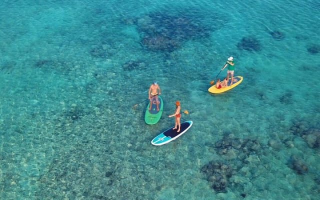 Ocean Bay Paddleboard Tour photo 4