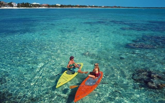 Ocean Bay Paddleboard Tour photo 8