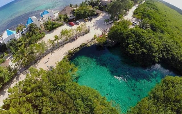 Paddleboard Combo Tour Cenote + Ocean photo 2