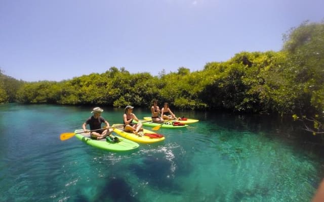 Paddleboard Combo Tour Cenote + Ocean photo 4