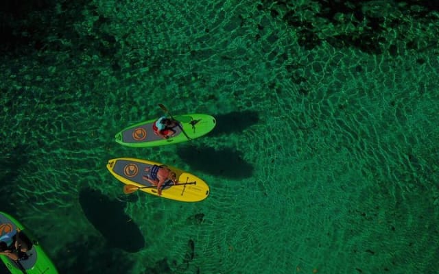 Paddleboard Combo Tour Cenote + Ocean photo 7