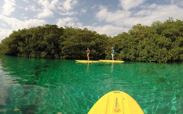 Paddleboard Combo Tour Cenote + Ocean photo 3