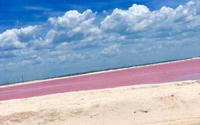 Tour Las Coloradas and Rio Lagartos photo 7