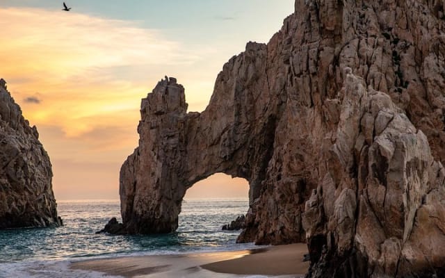 Dinner Cruise Tour in Cabo San Lucas with Tequila Tasting