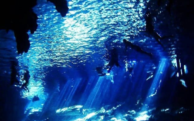 Dos Ojos Cenote Cavern Dive- The Barbie Line and The Bat Cave photo 5