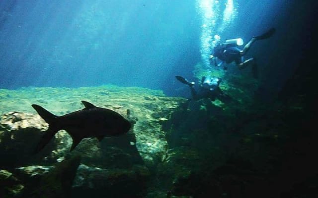 Discover Scuba Diving at Casa Cenote photo 6