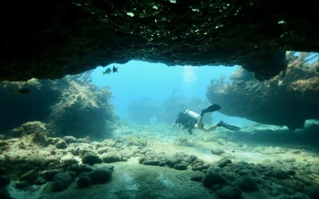 Discover Scuba Diving in Tulum photo 5