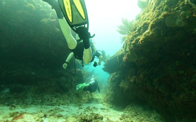 Discover Scuba Diving in Tulum photo 6