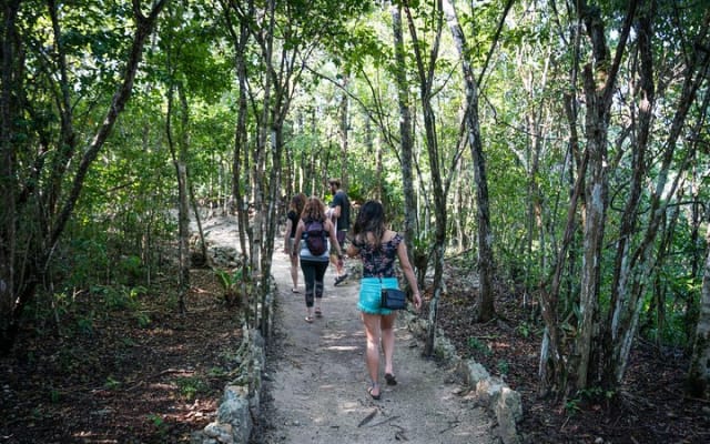 Tankah Park Five Cenotes Adventure Tour from Tulum photo 6