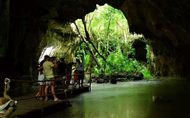 Turtles and Cenote from Riviera Maya photo 6