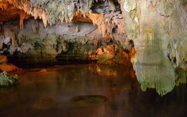 Turtles and Cenote from Riviera Maya photo 7