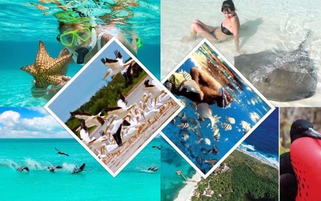 Isla Contoy photo 4