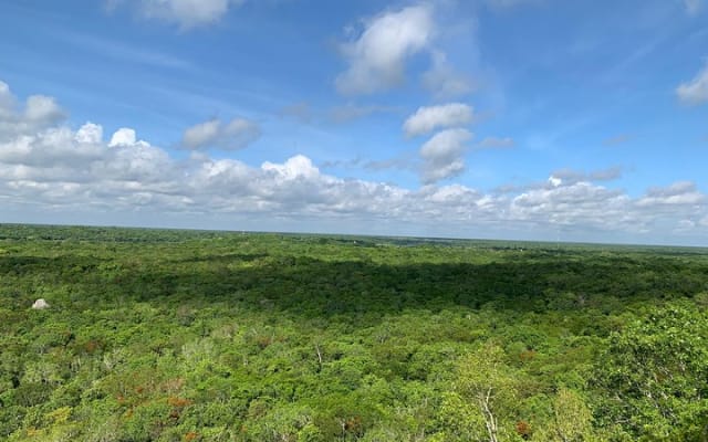 Coba Ruins and Punta Laguna Monkey Reserve Day Tour from Tulum photo 11