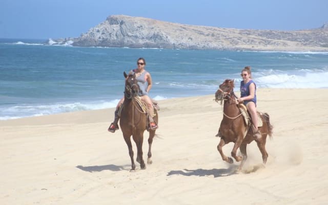 Cabo White Sand Horseback Riding Tour and Tequila Tasting