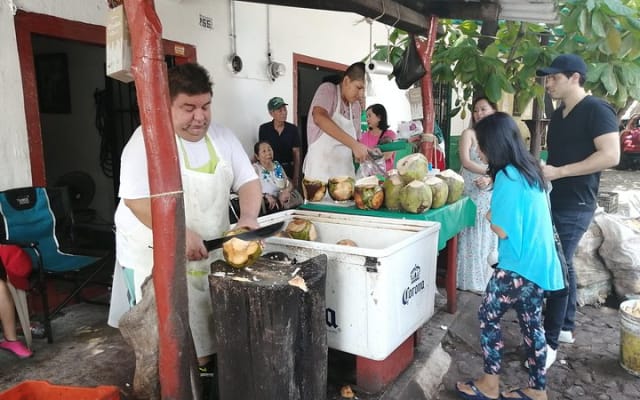 Visite privée de la ville de Vallarta pour 1 à 6 passagers photo 7