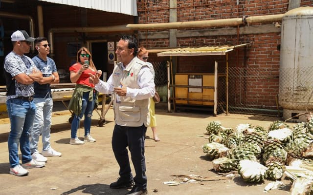 Experiencia Ruta del Tequila desde Guadalajara photo 4