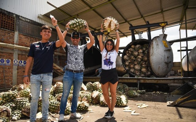 Experiencia Ruta del Tequila desde Guadalajara photo 5
