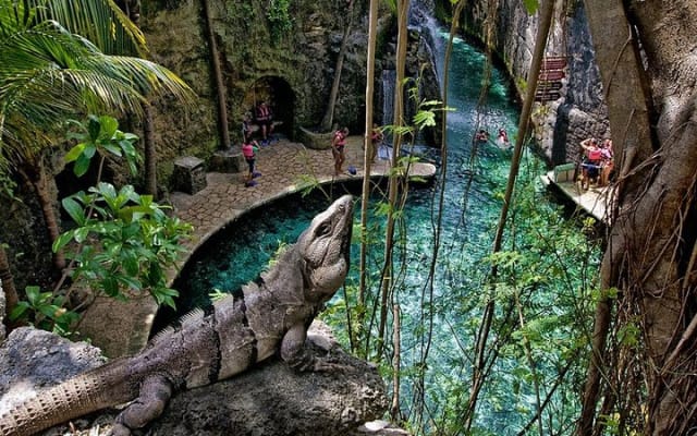 Visit Xcaret Plus, Night Live Show, Buffet & Transport from Tulum photo 9