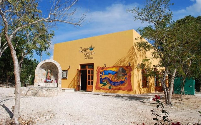 Oncelife experience of CHICHEN ITZA NIGHT SHOW. Cenote and Valladolid included. photo 14