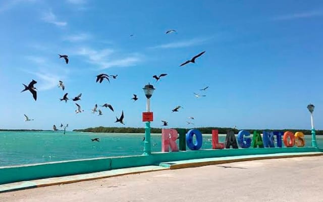 Magical Tour Las Coloradas Natural Pink Lagoon from Riviera Maya photo 6