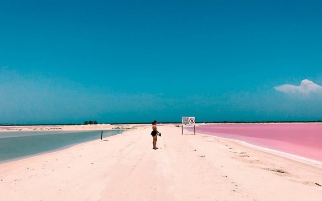 Las Coloradas & Rio Lagartos Beautiful Eco Adventure from Tulum photo 8