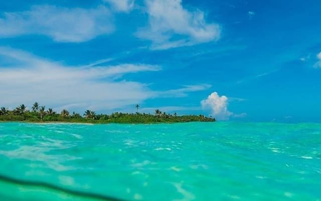 Sian Ka'an Biosphere the best nature experience with Transportation from Tulum photo 5