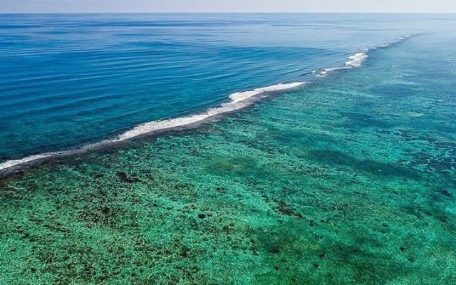 Sian Ka'an Biosphere the best nature experience with Transportation from Tulum photo 6