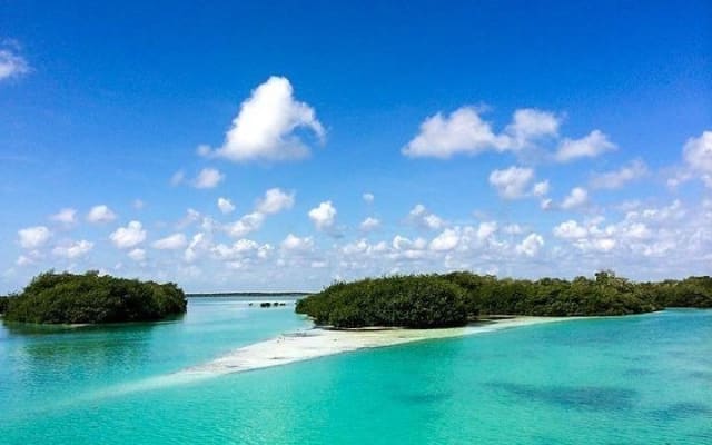 Sian Ka'an Biosphere the best nature experience with Transportation from Tulum photo 8