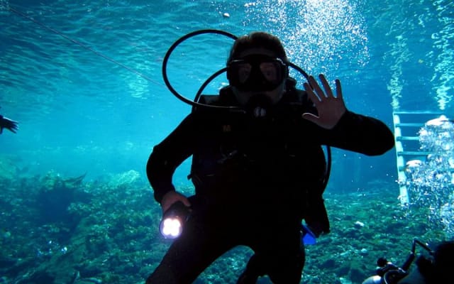 2 cenote divings (including one deep diving) for advanced divers in Tulum photo 14