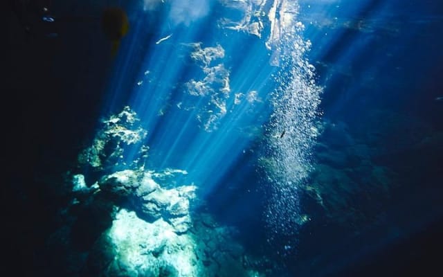 2 cenote divings (including one deep diving) for advanced divers in Tulum photo 10