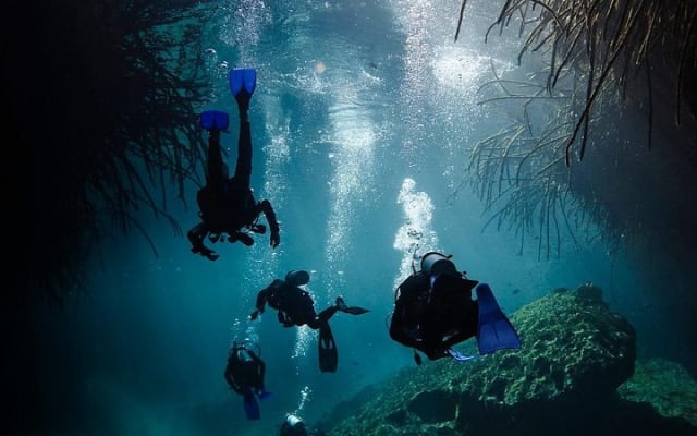 2 cenote divings (including one deep diving) for advanced divers in Tulum photo 5