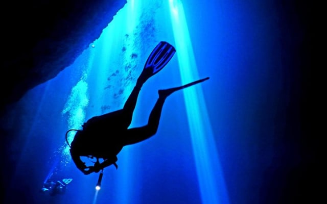 2 tanks Cenote Diving Adventure in Tulum for Certified Divers photo 8
