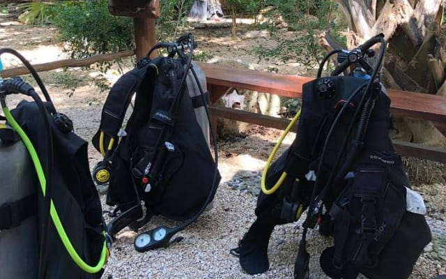 2 tanks Cenote Diving Adventure in Tulum for Certified Divers photo 6