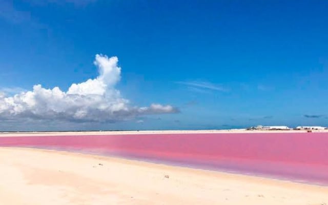 Natural Pink Lake Coloradas Transportation Included from Tulum photo 5