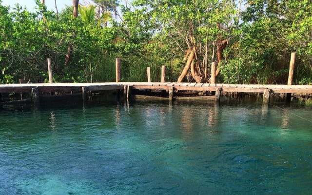 Discover Holbox the Most Colorful Island. Includes Cenote & Passion Island photo 7