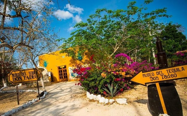 Live the MAGIC EXPERIENCE at CHICHÉN ITZÁ NIGHT + CENOTE + VALLADOLID photo 11