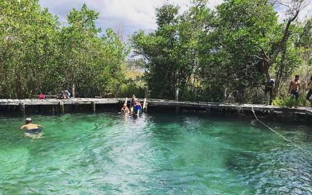 Discover the Wonders of Holbox, Cenote and Passion Island. Transport included photo 3